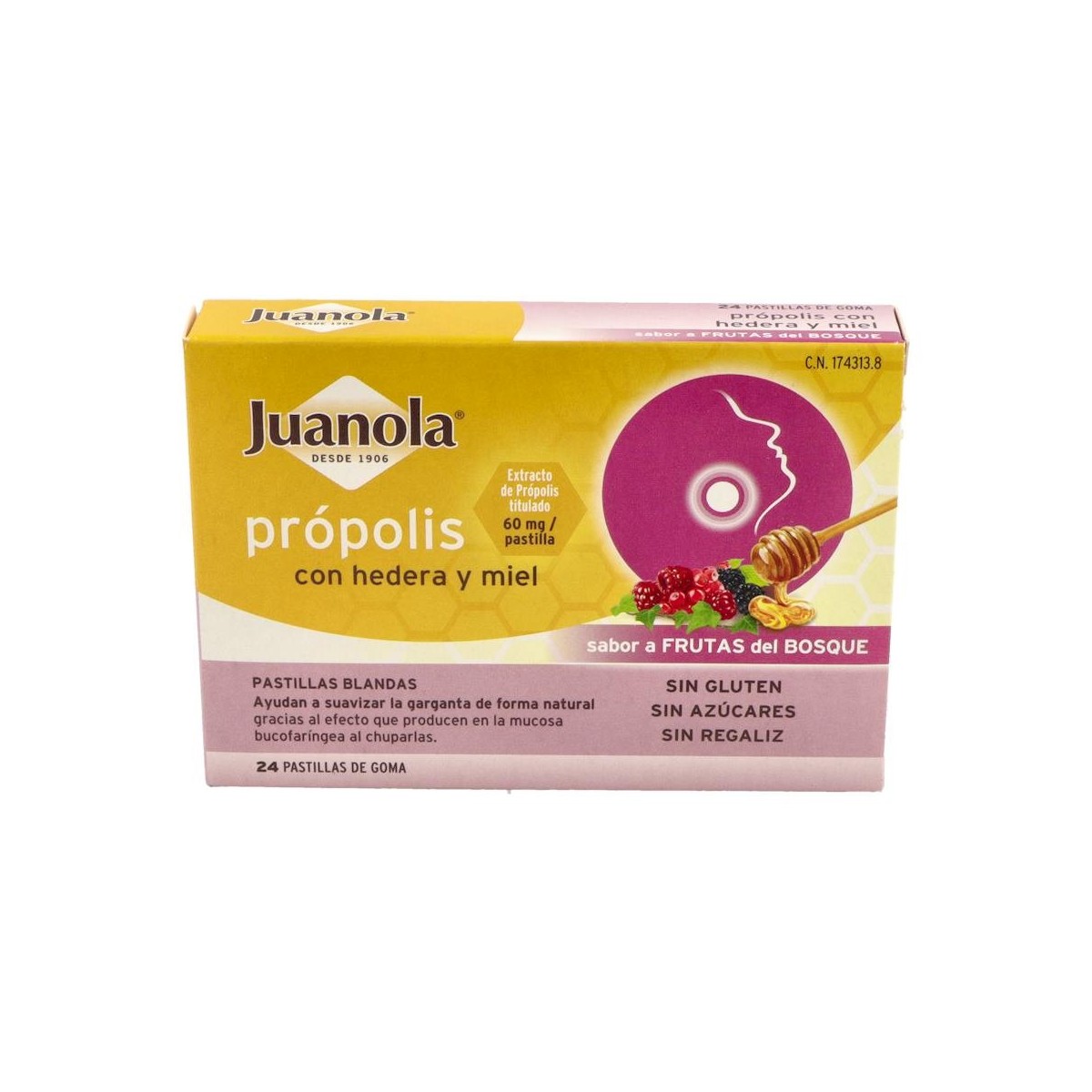 PAST JUANOLA PROPOLIS HEDERA MIEL F BOSQUE 24 PAST